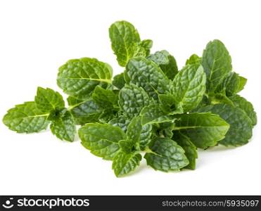 Fresh mint herb leaves isolated on white background cutout