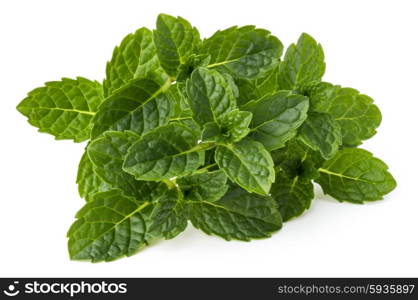 Fresh mint herb leaves isolated on white background cutout