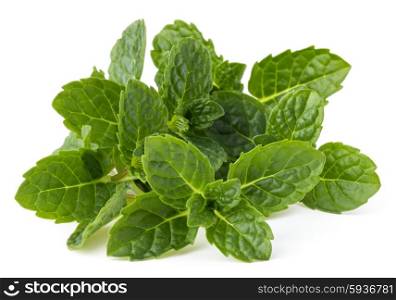 Fresh mint herb leaves isolated on white background cutout