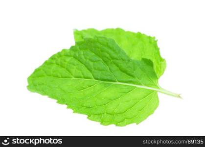 Fresh mint leaves isolated on white background