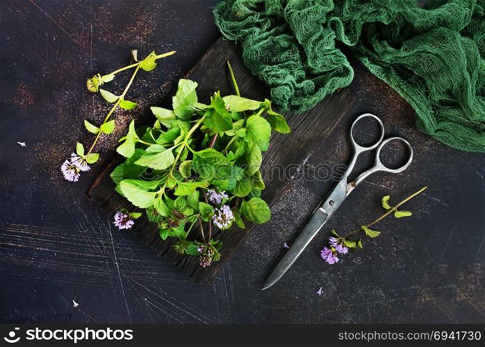 fresh mint on a table, stock photo