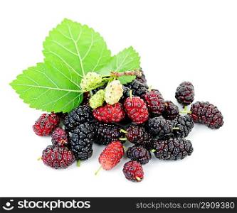 Fresh mulberries with leaves