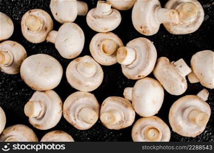 Fresh mushrooms champignons on the table. On a black background. High quality photo. Fresh mushrooms champignons on the table.