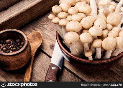 Fresh mushrooms on retro wooden table.Fresh white button mushrooms.Cooking delicious organic mushroom. Mushrooms for cooking