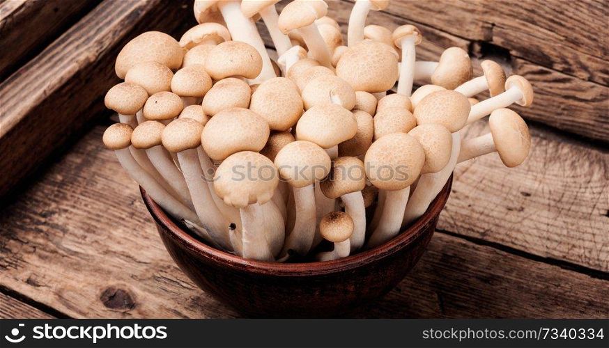 Fresh mushrooms on retro wooden table.Fresh whole white button mushrooms. Fresh raw mushrooms