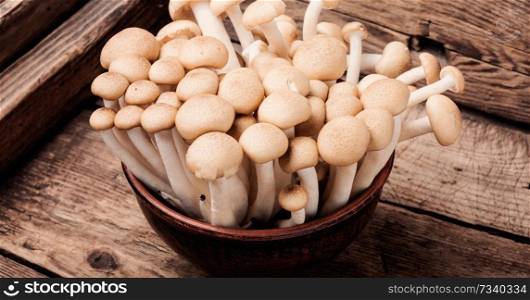 Fresh mushrooms on retro wooden table.Fresh whole white button mushrooms. Fresh raw mushrooms
