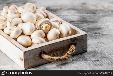 Fresh mushrooms on the tray. On a gray background. High quality photo. Fresh mushrooms on the tray.