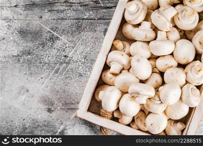 Fresh mushrooms on the tray. On a gray background. High quality photo. Fresh mushrooms on the tray.