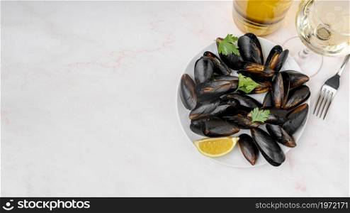 fresh mussels dish with copy space. High resolution photo. fresh mussels dish with copy space. High quality photo