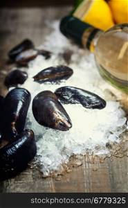 Fresh mussels on ice ready for cooking