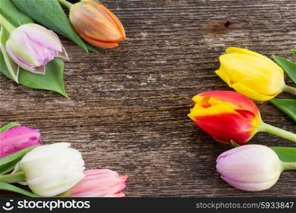 fresh muticolored tulip flowers frame on wooden table. pile of multicolored tulips