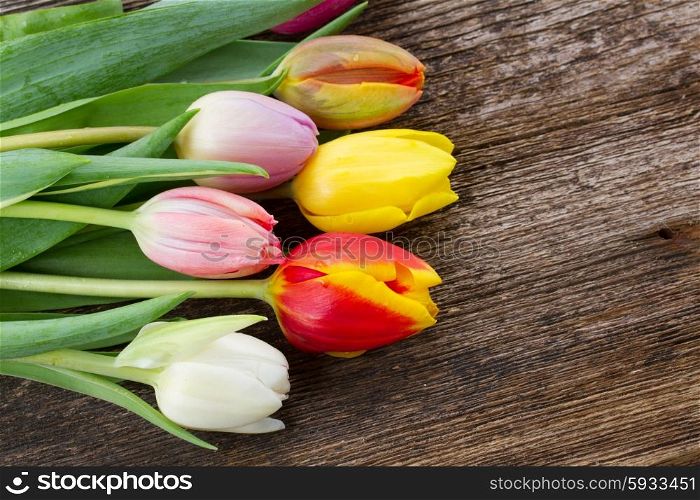 fresh muticolored tulip flowers on wooden table