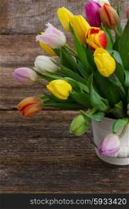 fresh muticolored tulips in white pot on wooden table
