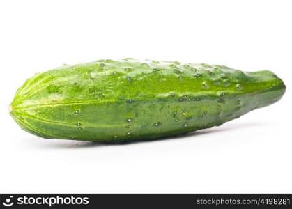 fresh natural cucumber isolated on white background