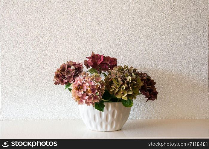 Fresh natural Flowers in white vase with white wall, white interior decor modern clean design close-up. Fresh natural Flowers in white vase with white wall, white interior decor modern clean design