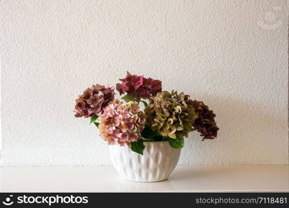 Fresh natural Flowers in white vase with white wall, white interior decor modern clean design close-up. Fresh natural Flowers in white vase with white wall, white interior decor modern clean design
