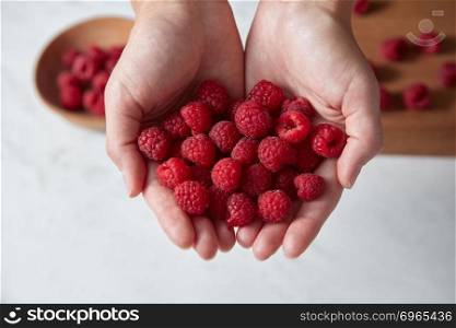 Fresh natural organic berries in the female hands for making delicious natural jam. Concept of healthy homemade food.. Home grown natural fresh red raspberry for cooking jam in a woman hands above a white kitchen table.