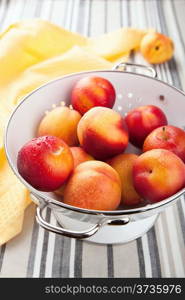 fresh nectarines and plums in colander