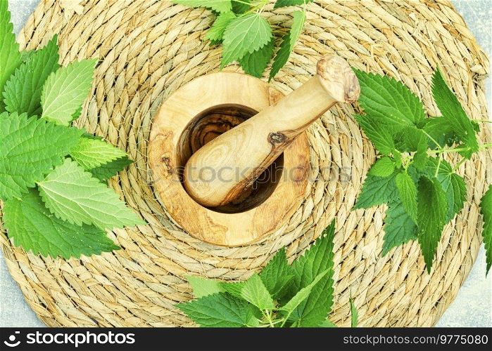 Fresh nettle bunch and wooden rustic mortar on light background. Herbal medicine, healing. Fresh nettle leaves,herbal medicine and homeopathy