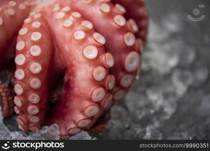 Fresh octopus on ice and dark background, Boiled whole octopus tentacles seafood squid cuttlefish