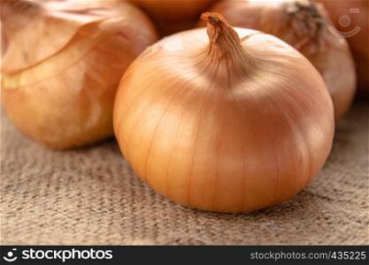 Fresh onion on wooden background and on burlap. Ripe onions (Allium cepa) or onions or vegetarian and vegan food. Burlap with yellow onions. Fresh onion on wooden background and on burlap. Ripe onions Allium cepa or onions or vegetarian and vegan food.