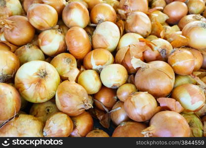 Fresh onion. onions background