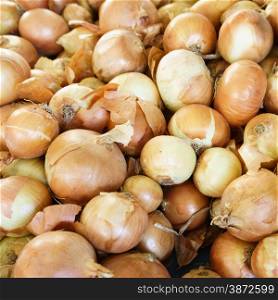 Fresh onion. onions background