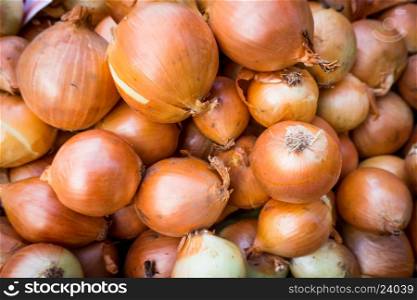 Fresh onion. Onions background. Ripe onions