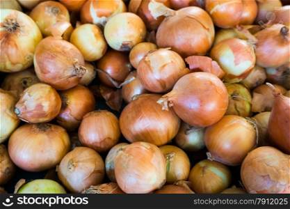 Fresh onion. Ripe onions as background.