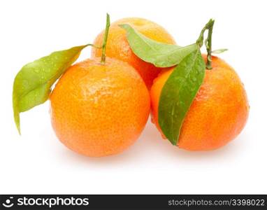 Fresh Orange Tangerines - Mandarins on White Background