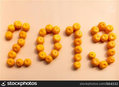 fresh oranges in form of number 2019 new year , idea for card and banner