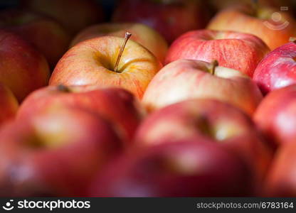 fresh organic apples shot angle view