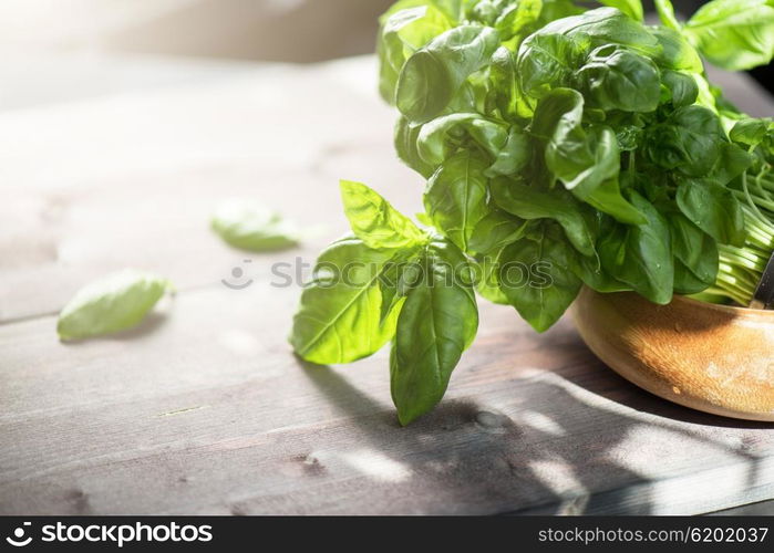 Fresh organic basil. Fresh organic basil leaves on a wooden table