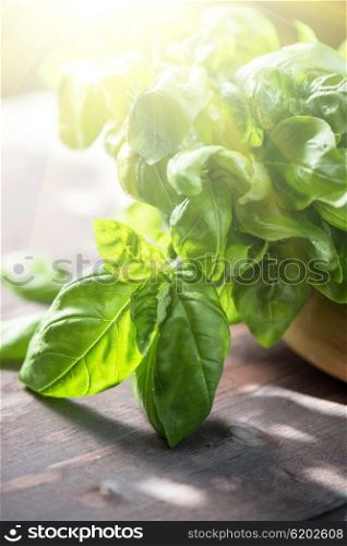Fresh organic basil. Fresh organic basil leaves on a wooden table