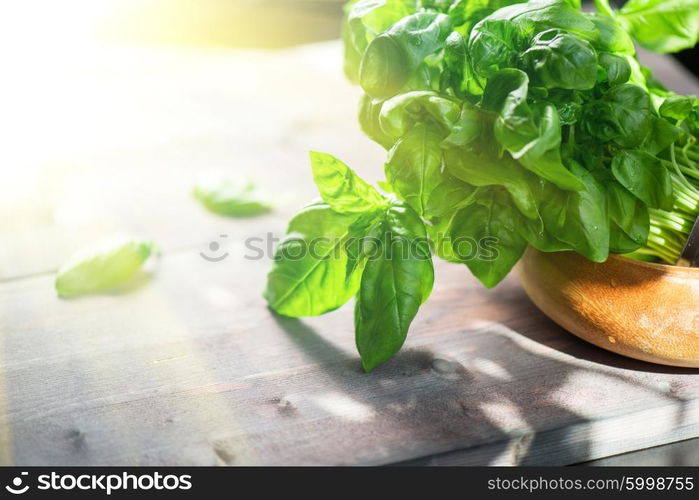 Fresh organic basil leaves on a wooden table. Fresh organic basil