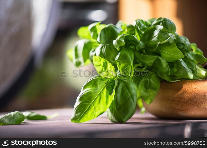 Fresh organic basil leaves on a wooden table. Fresh organic basil