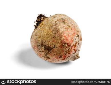 Fresh organic beetroot isolated on a white background. Beetroot isolated on a white background