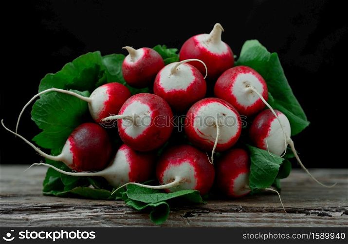 fresh organic bunch of radishes on a wooden vintage table. harvesting, seasonal vegetables from the farm. Close-up