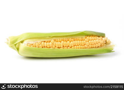 Fresh organic corn cob isolated on white background.. Fresh organic corn cob isolated on white background