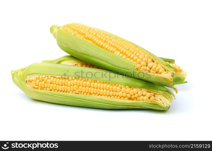 Fresh organic corn cob isolated on white background.. Fresh organic corn cob isolated on white background