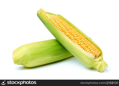 Fresh organic corn cob isolated on white background.. Fresh organic corn cob isolated on white background