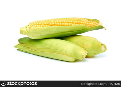 Fresh organic corn cob isolated on white background.. Fresh organic corn cob isolated on white background