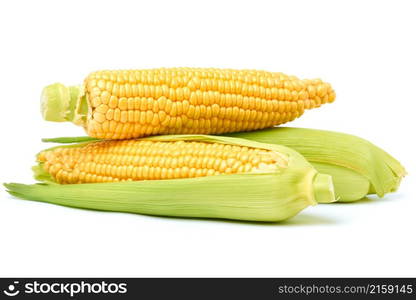 Fresh organic corn cob isolated on white background.. Fresh organic corn cob isolated on white background