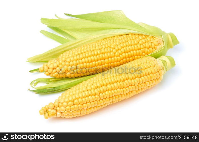 Fresh organic corn cob isolated on white background.. Fresh organic corn cob isolated on white background