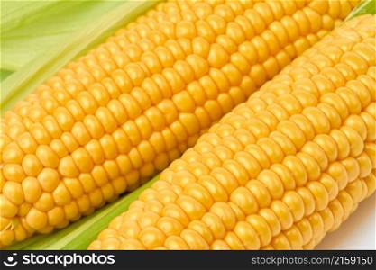 Fresh organic corn cob isolated on white background.. Fresh organic corn cob isolated on white background