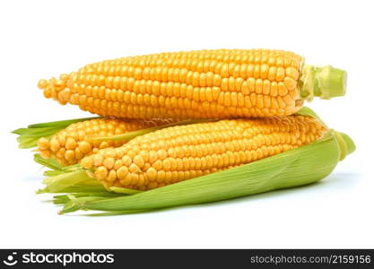 Fresh organic corn cob isolated on white background.. Fresh organic corn cob isolated on white background