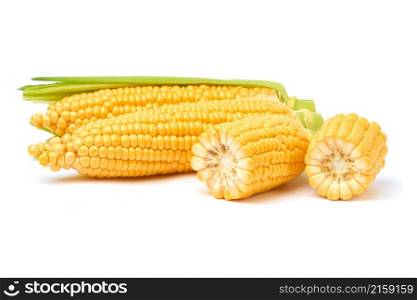 Fresh organic corn cob isolated on white background.. Fresh organic corn cob isolated on white background