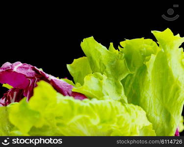 fresh organic eco vegetable green salad, close-up isolated on white and black background