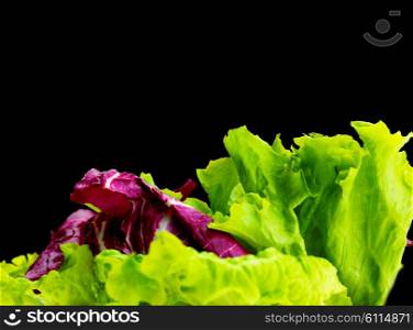 fresh organic eco vegetable green salad, close-up isolated on white and black background
