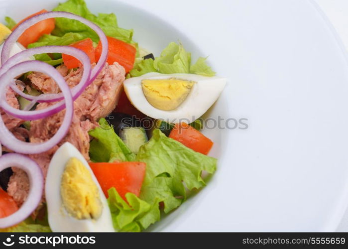 fresh organic eco vegetable salad,close-up isolated on white